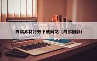 浚县白鹅素材特效下载网站（白鹅摄影）